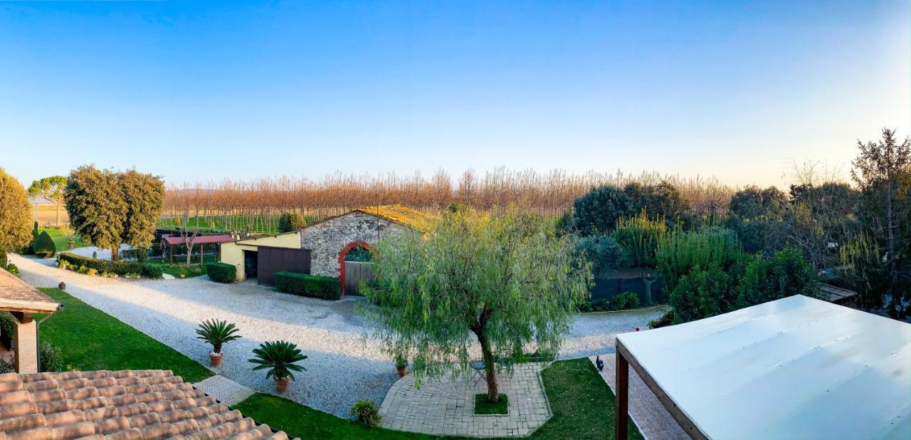 Agriturismo Il Cuscino Nel Pagliaio Кампілья-Мариттіма Екстер'єр фото